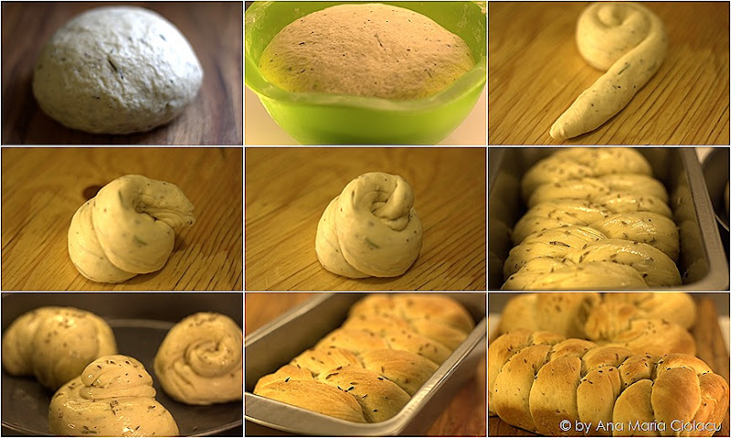paine aromatica collage