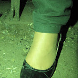 IMG_2621.jpg