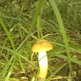 IMAG0124.jpg