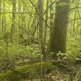 IMAG0133.jpg