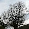 P1070481.JPG