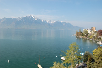 DSC_0258.jpg