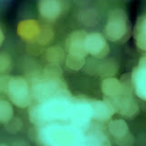 Backgrounds