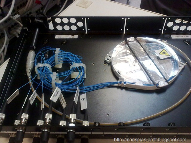 [Pigtails ST[7].jpg]