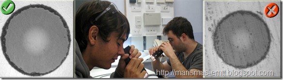 Inspeccionando terminaciones de fibra Inspeccionando terminaciones de fibra