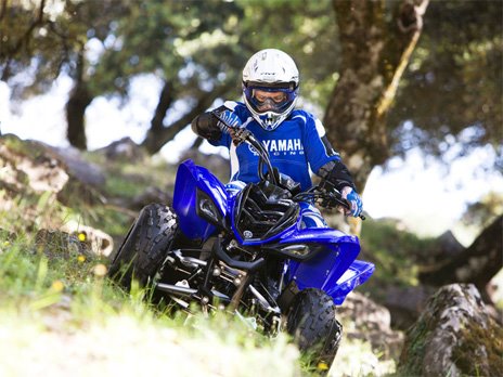 2009 yamaha yfm50. Yamaha YFM90