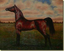 Tapia_152955 Hamad Arabian 24x30 Tapia_152955 Hamad Arabian 24x30