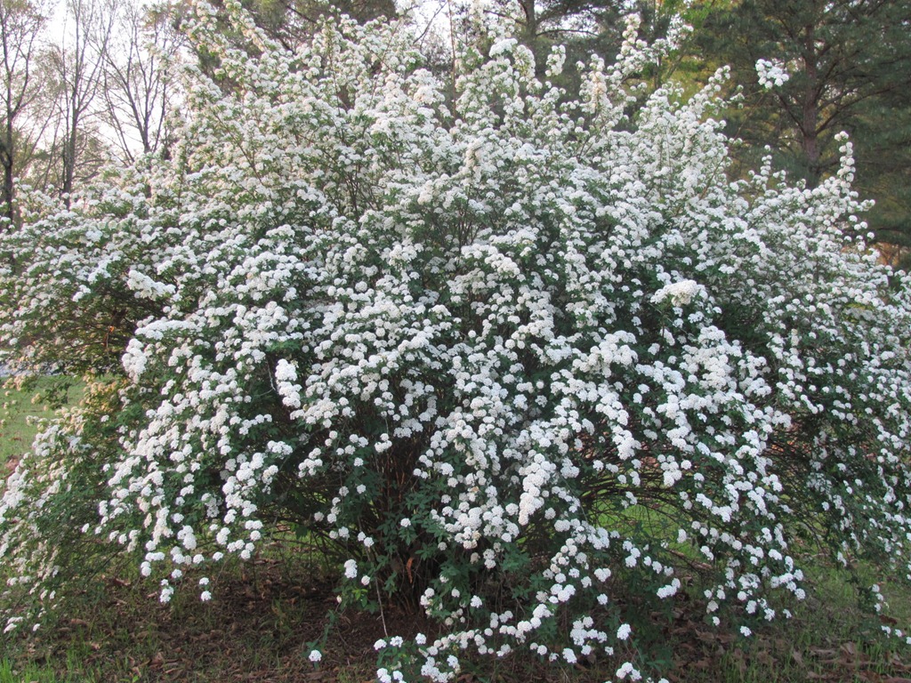 [IMG_19133.jpg]