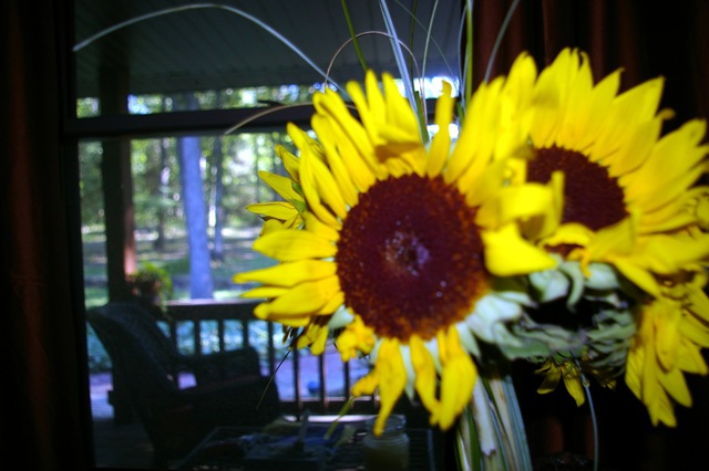 [sunflowers porch[4].jpg]