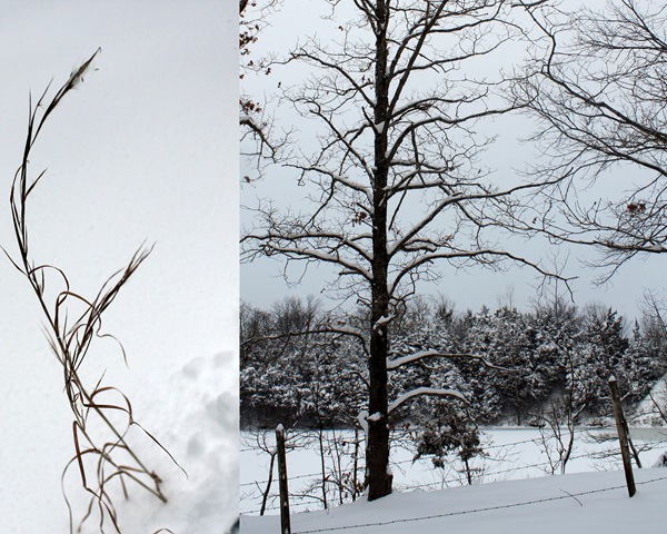 [2011-01-20 jan 11 snow2[4].jpg]