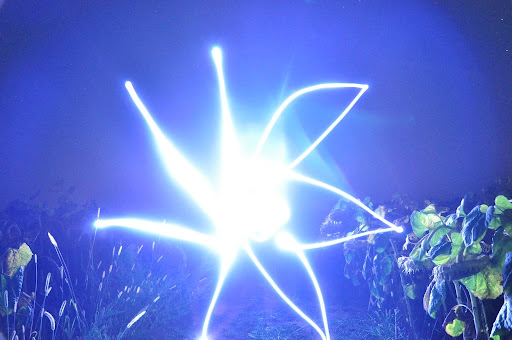 Star