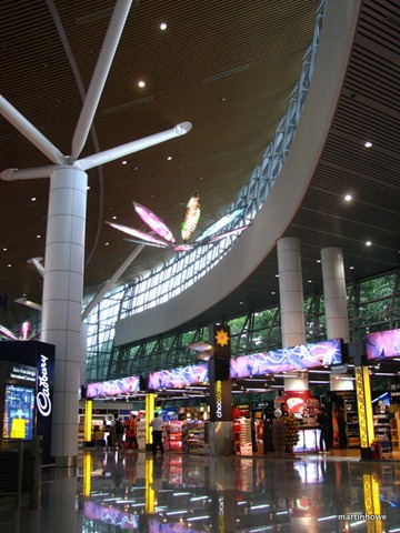 [IMG_35392.jpg]