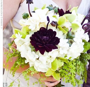 [garden theme (25)[2].jpg]