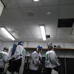 FlyersB_BullsLadies004.jpg