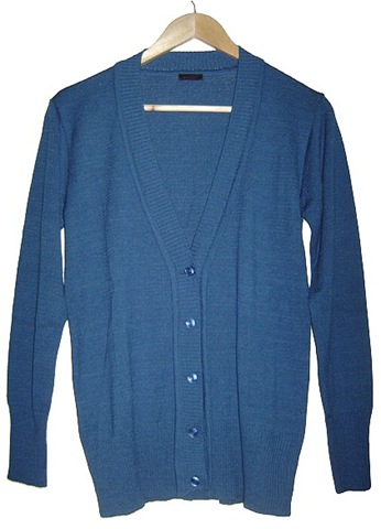[Alexa azul[6].jpg]
