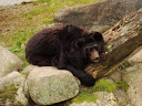 Zoo Człuchów (2010)