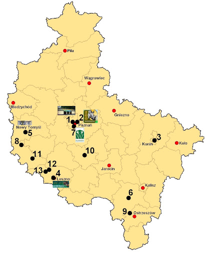 Zwierzyńce województwa wielkopolskiego