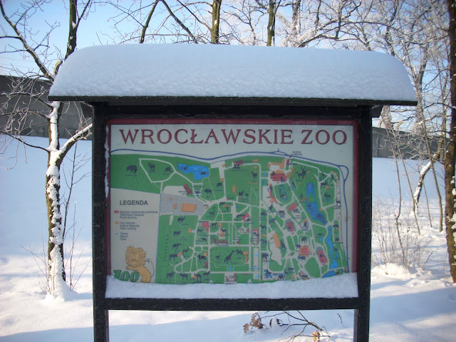 Wrocławskie zoo pełne śniegu!
