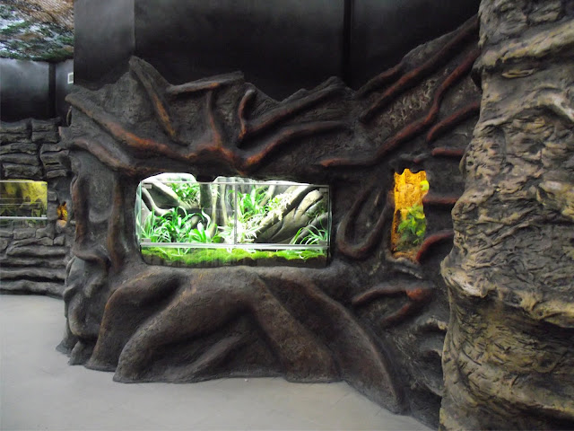 Nowe aranżacje terrariów Nowe aranżacje terrariów