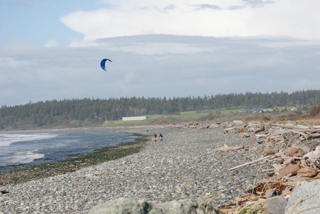 [DSC_0033[2].jpg]