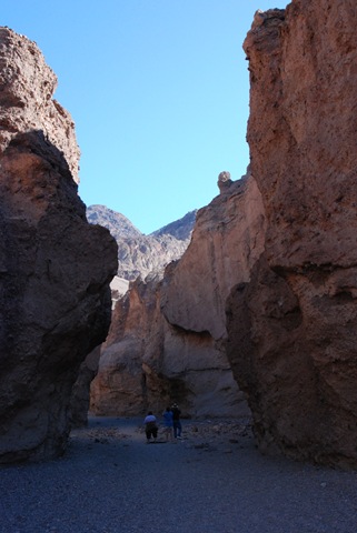 [DSC_00782.jpg]