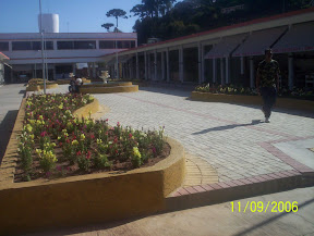 100_2395.JPG