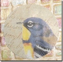 Disco bird Disco bird