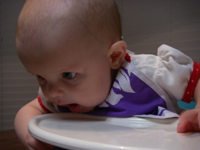 [Aug-Sept. 2010 153.jpg]