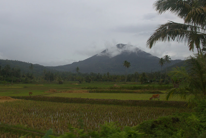 Countryside, west lampung