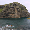 Previous