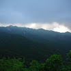 Previous