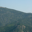 Previous