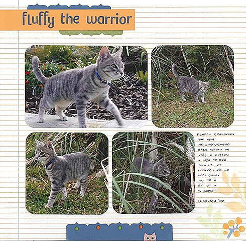 [Fluffy the warrior[5].jpg]