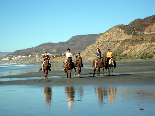 Horseback riding on the beach