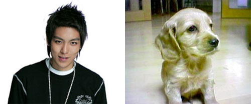 พบกับลูกชายของ T.O.P.