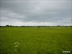 DSC02516.jpg