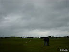 DSC02526.jpg