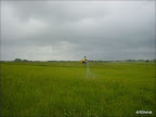 DSC02538.jpg