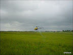 DSC02537.jpg