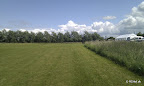 IMAG0074.jpg