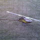 IMAG0133.jpg