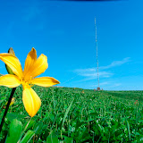 _0016336.JPG