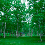 _0016093.JPG