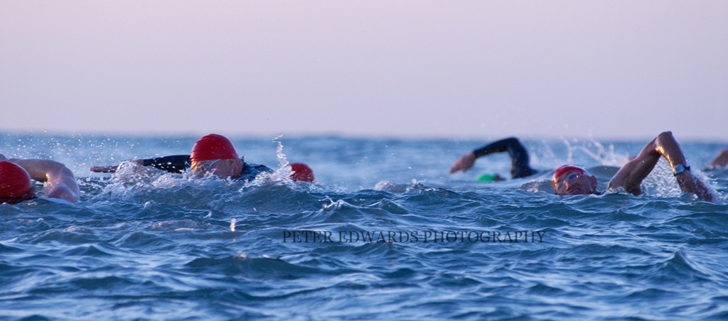 [swim[3].jpg]