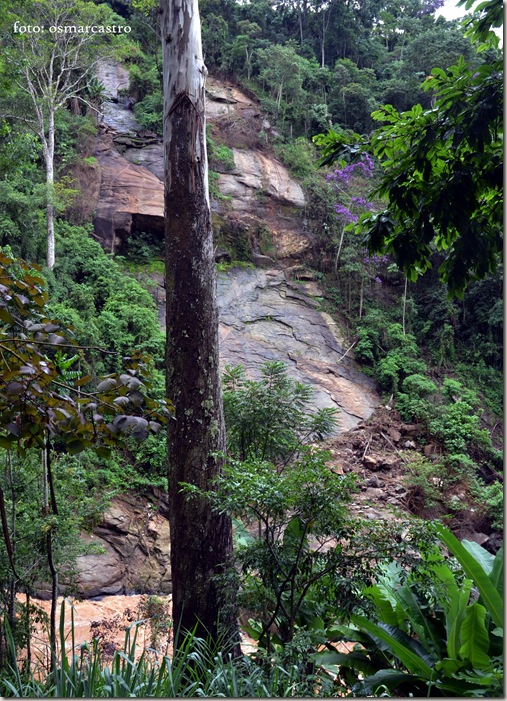 veu de noiva sem agua