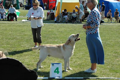  2008