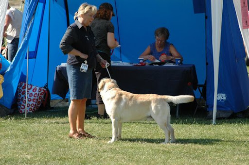  2008