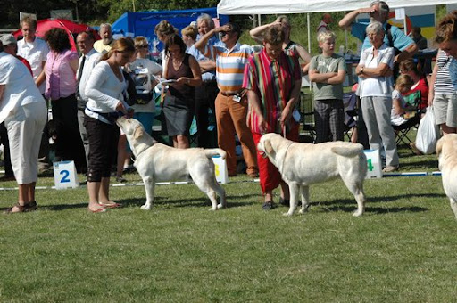 2008