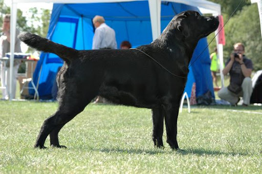  2008