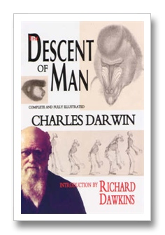 the descent of men by dan kindlon This is a blog about men's groups - how to start one, topics, covenants, handling checkin, where to find one in short anything about or related to men's groups. the descent of men by dan kindlon This is a blog about men's groups - how to start one, topics, covenants, handling checkin, where to find one in short anything about or related to men's groups.
